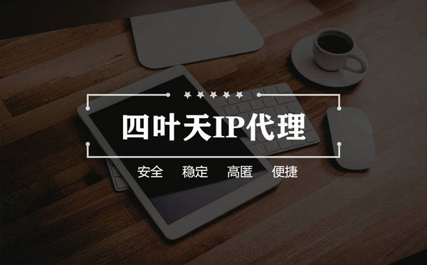 【明港代理IP】如何快速搭建代理IP？怎么检查代理的效果？